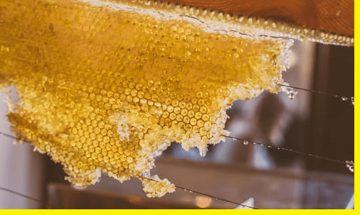 honey mission | honey farming | honey