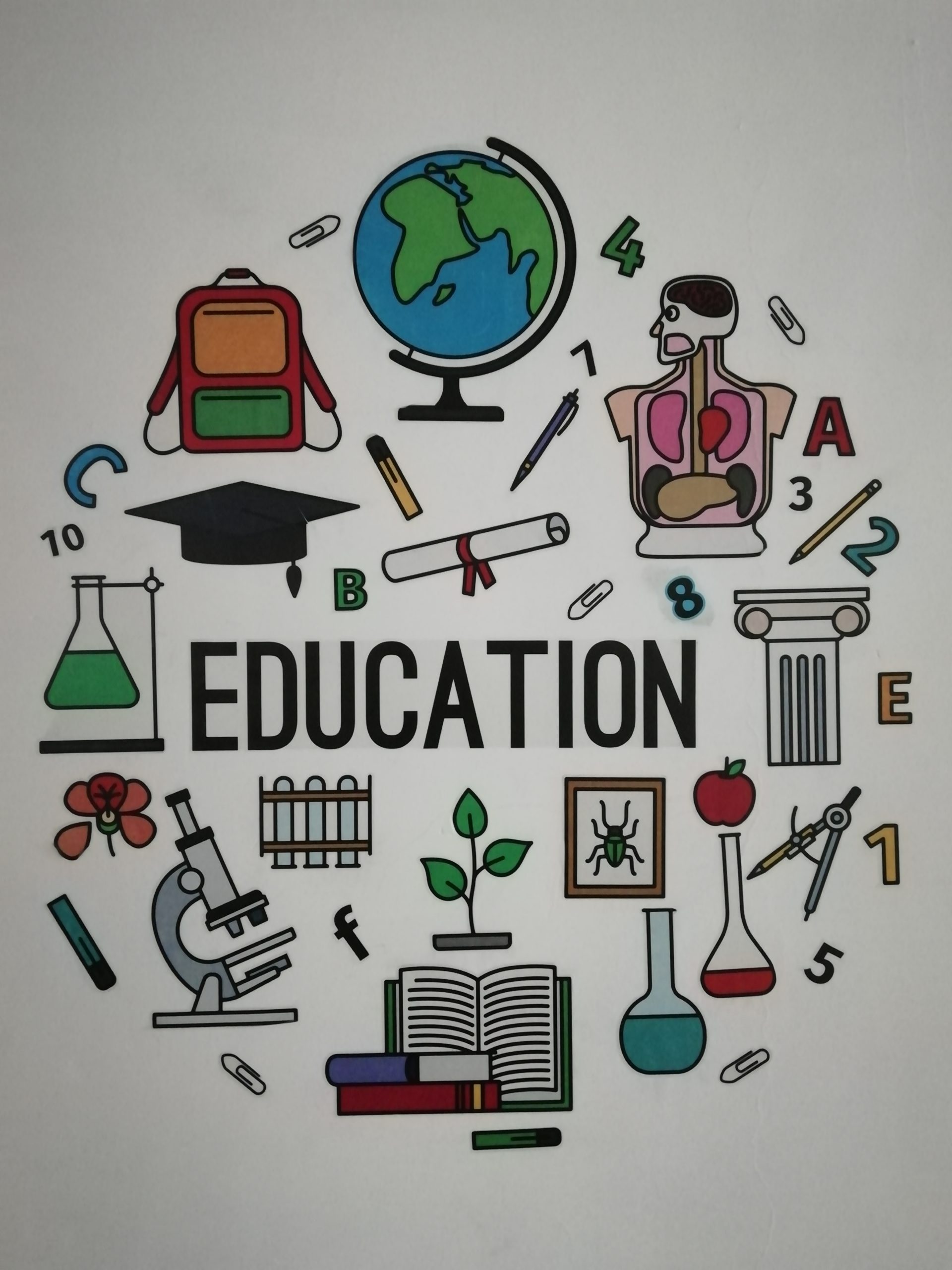 Education divided into four parts